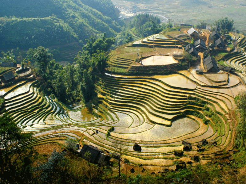 Limousine Muslim Tour from Hanoi to Sapa and Halong Bay 5 Days
